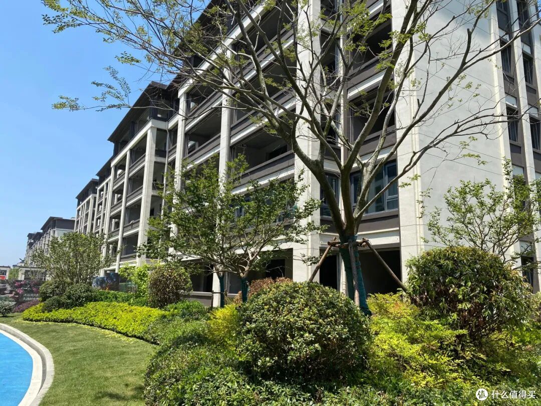 有一种痛苦叫“买了54层”,不好住又卖不掉,彻底沦为“不动产”