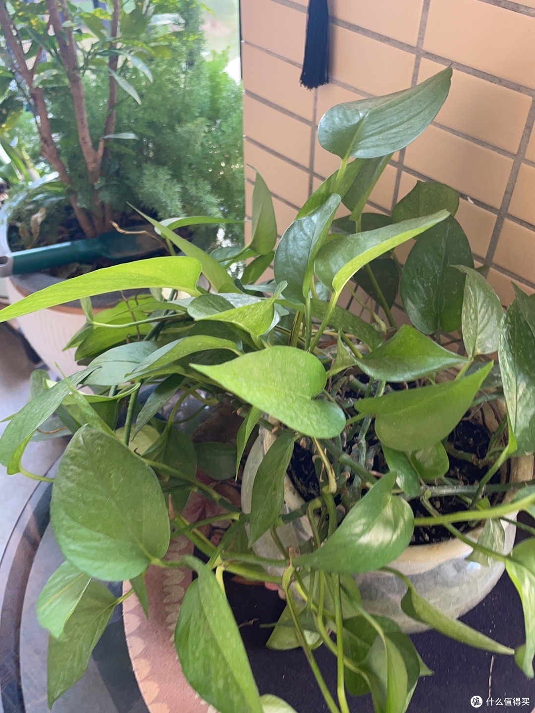 在自然里,捕捉灵感的风