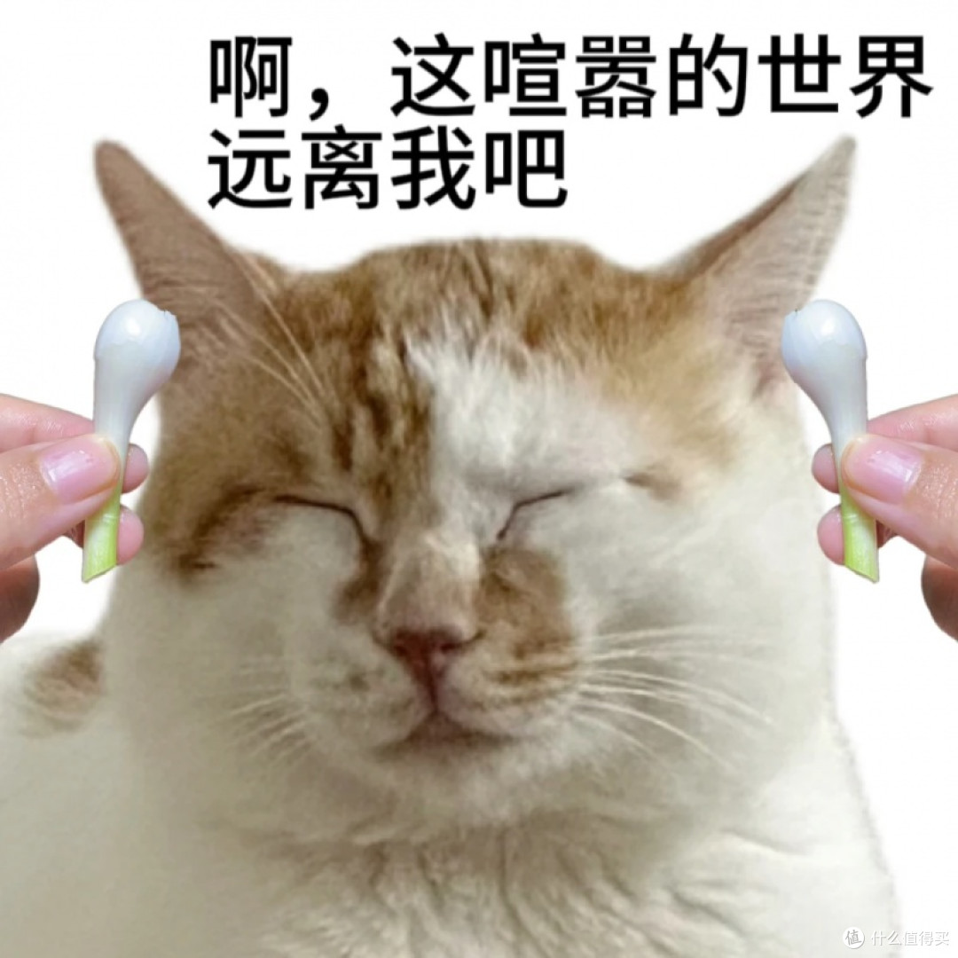 2025年终盘点:无线耳机市场变了,这3个新趋势决定你该买谁