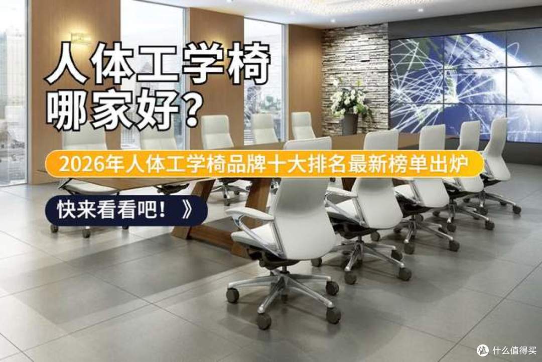 人体工学椅哪家好?2026年人体工学椅品牌十大排名最新榜单出炉