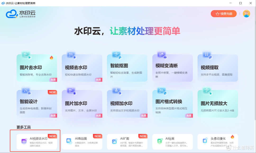 视频去水印神器