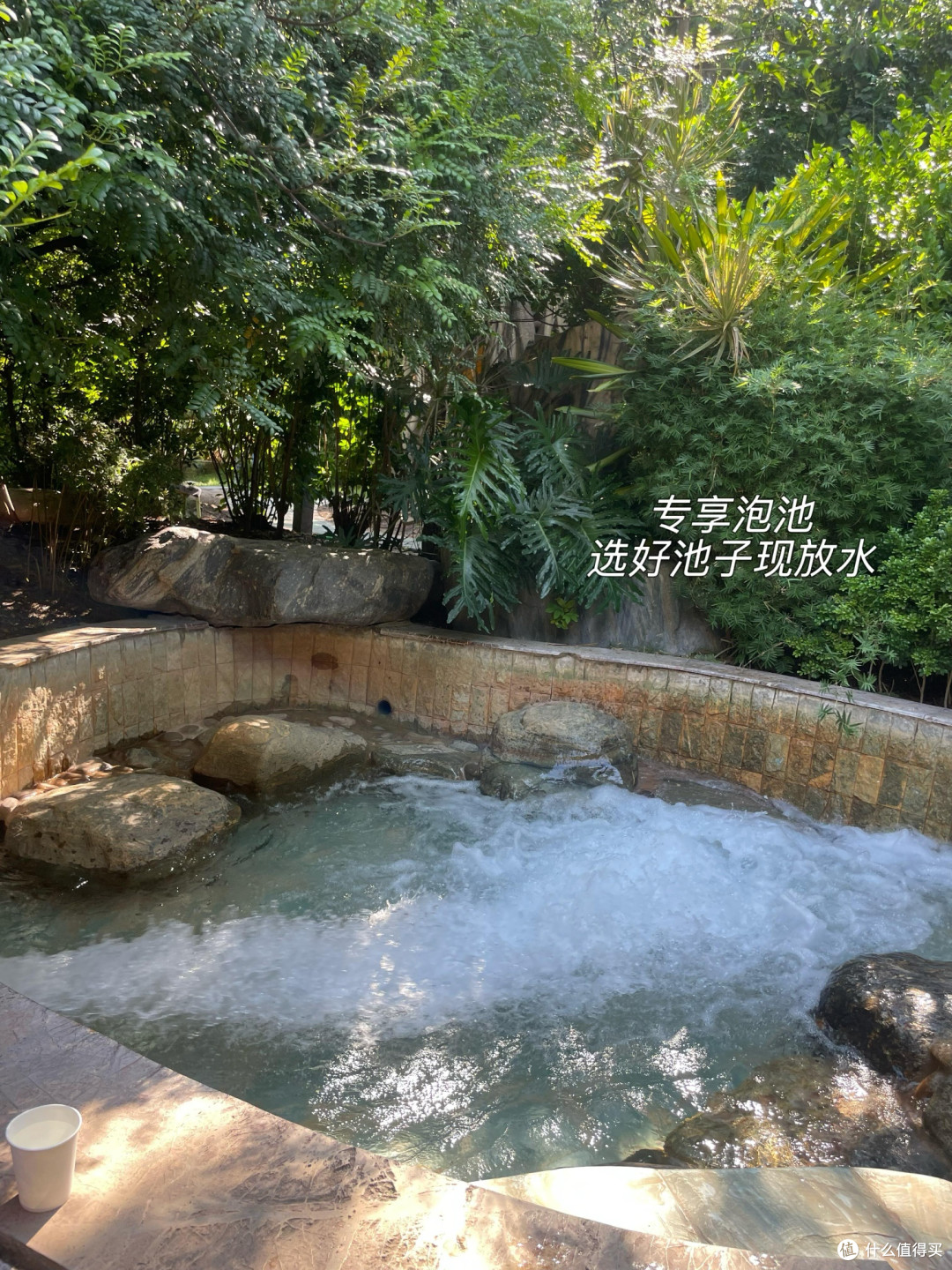 在25℃的冬天里躺平:云南元江2日游攻略