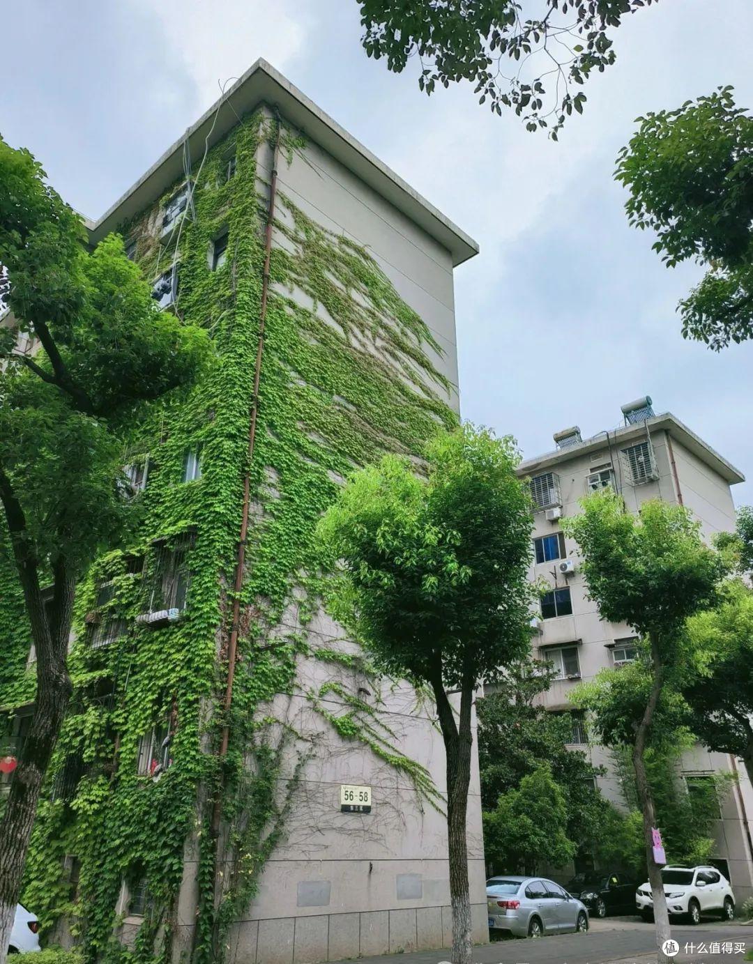 中介不会说的买房潜规则!这8个坑,踩一个就血亏几十万!