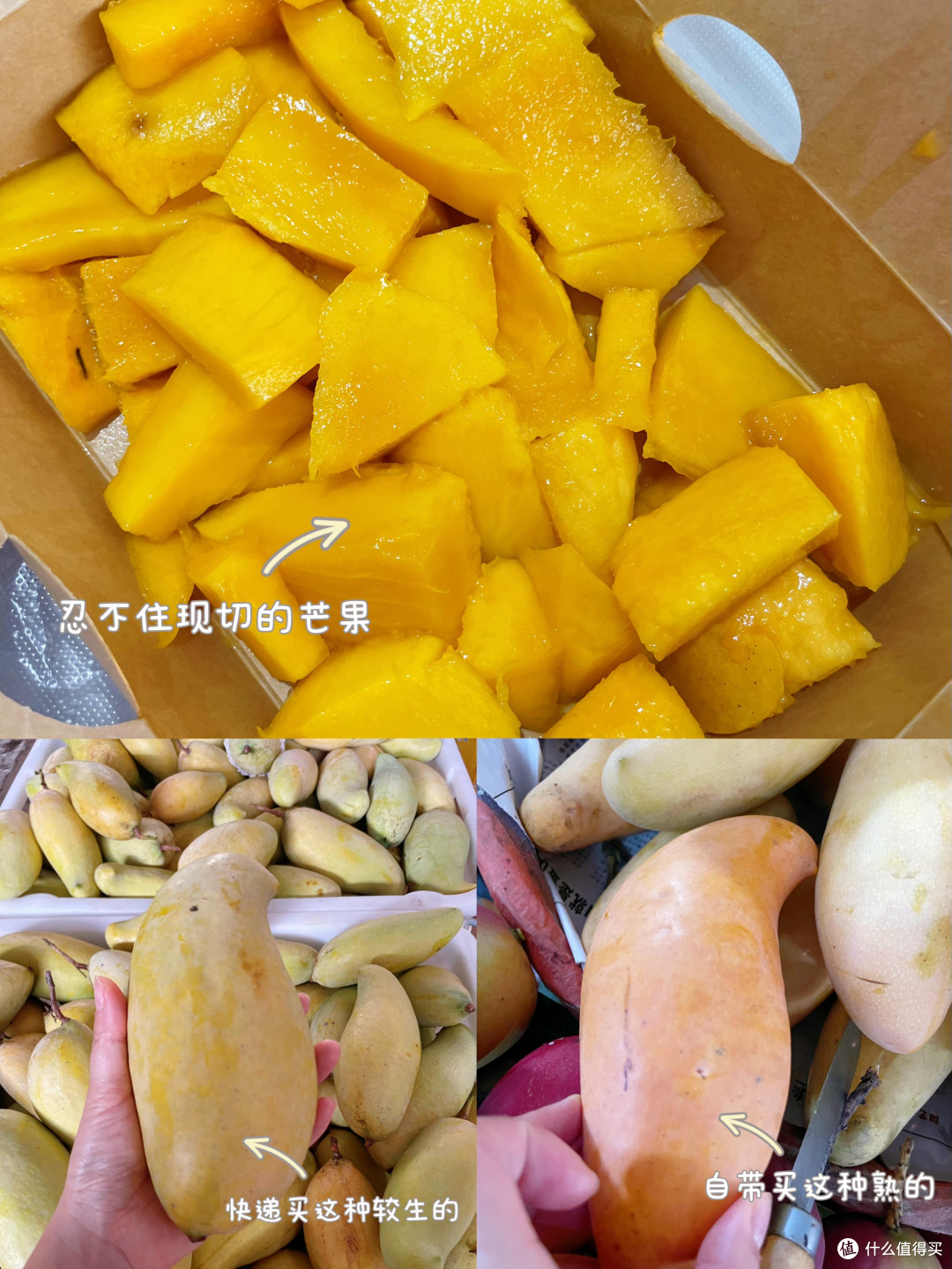 在25℃的冬天里躺平:云南元江2日游攻略