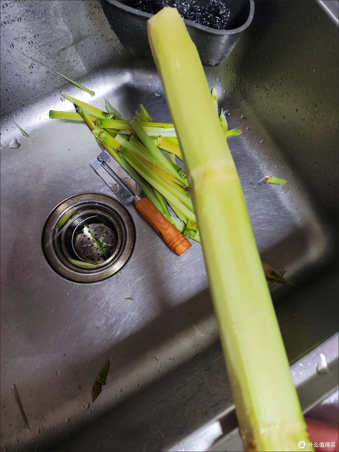 雪季美食地图,绿色甘蔗脆甜多汁