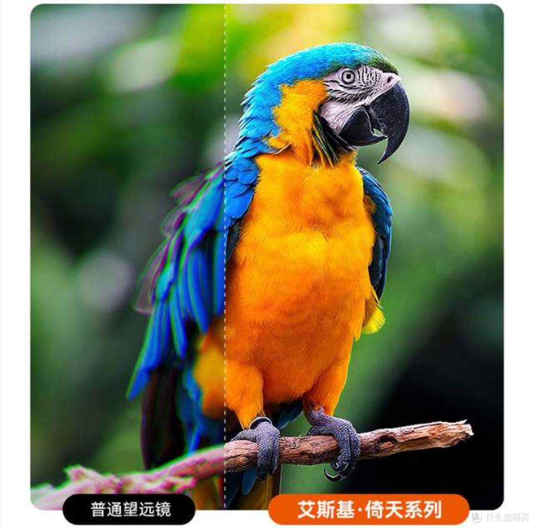 光学科技新高度,尽享极致视界:艾斯基倚天(10×42)望远镜!