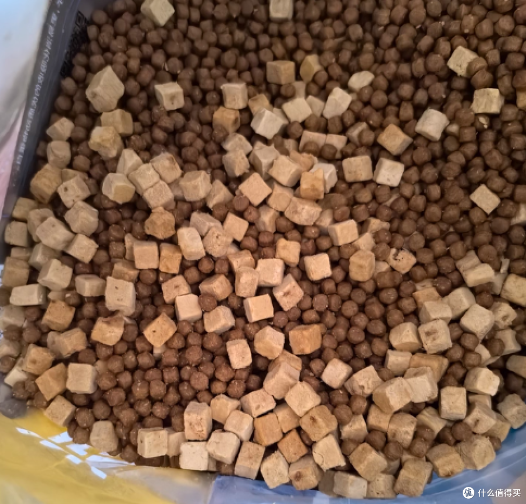 适合泰迪吃的狗粮有哪些?豆柴狗粮怎么样适合吗?有无推荐