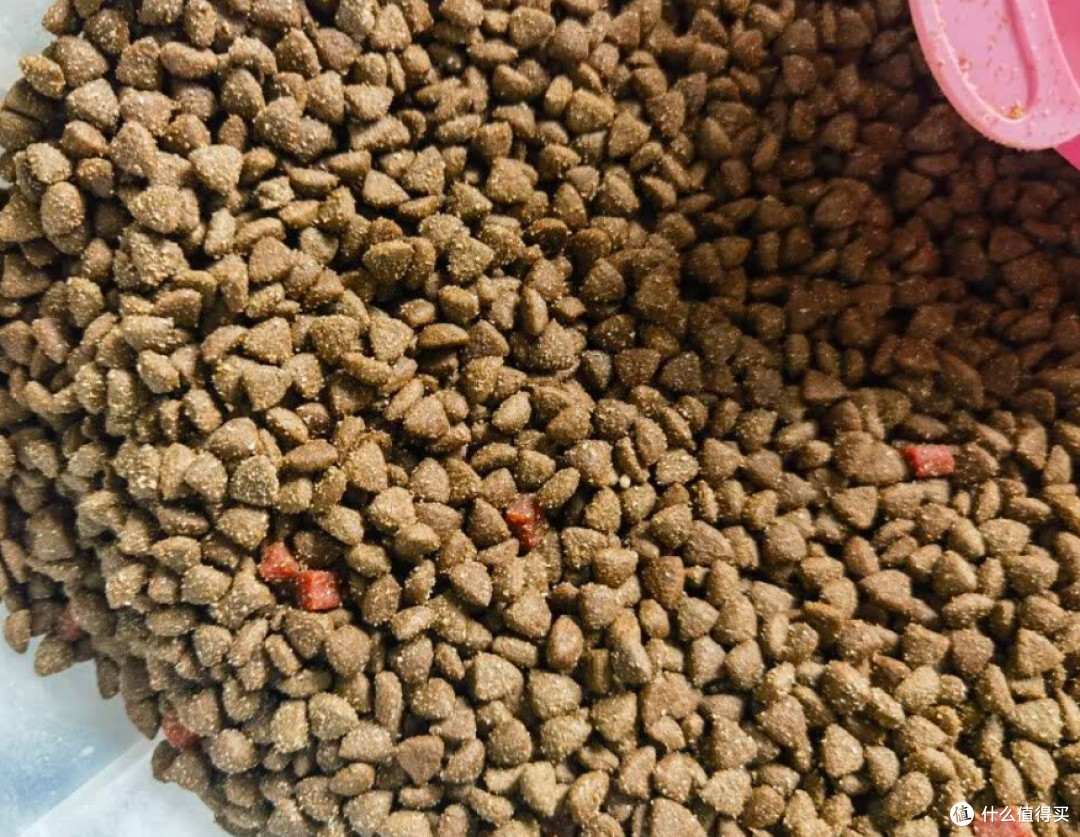 适合泰迪吃的狗粮有哪些？豆柴狗粮怎么样适合吗？有无推荐