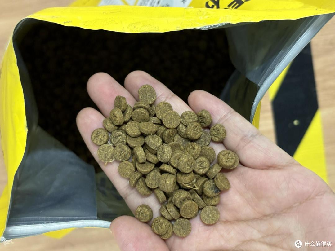 适合泰迪吃的狗粮有哪些？宝路狗粮怎么样适合吗？有无推荐_狗狗干粮_什么值得买