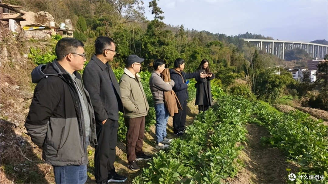 多企赴平塘县综合研学营地项目考察洽谈