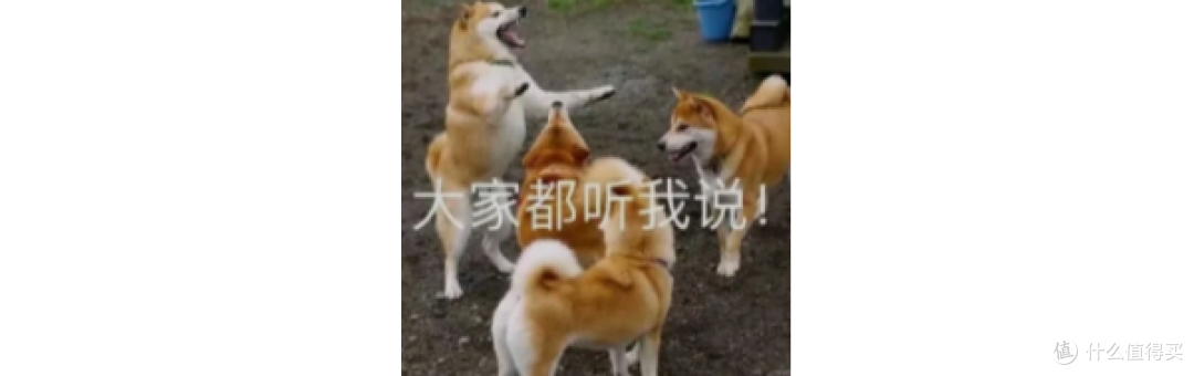 细软塌救星!发膜是不是护发素?实测避坑指南