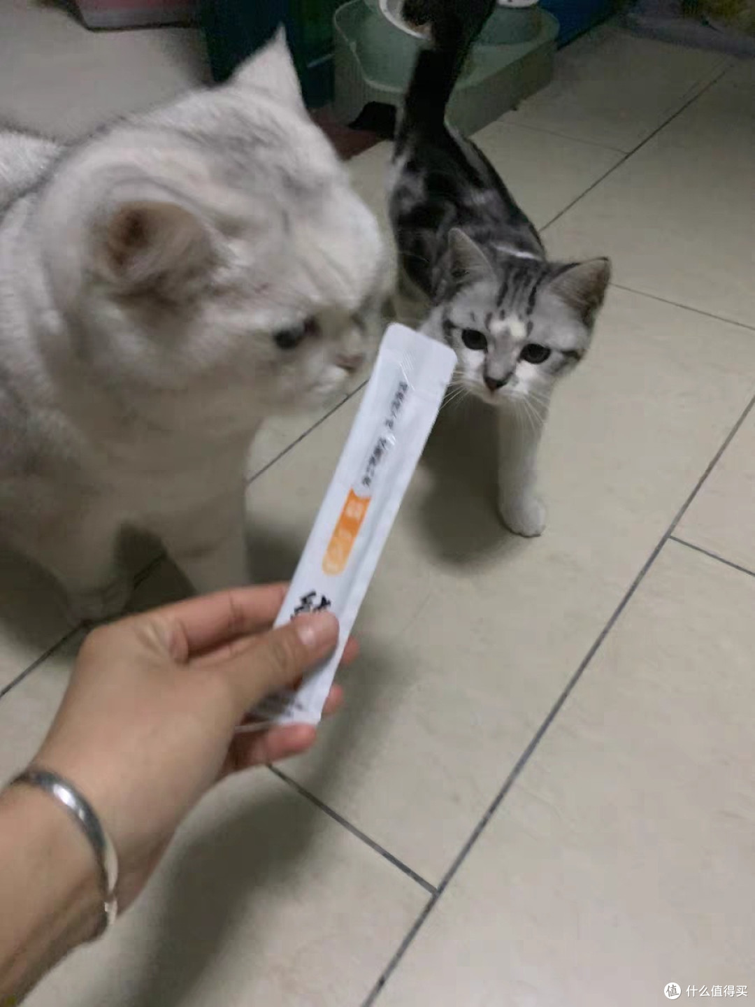 让挑剔的猫主子都停不下来的健康选择:阿飞巴弟猫条体验记