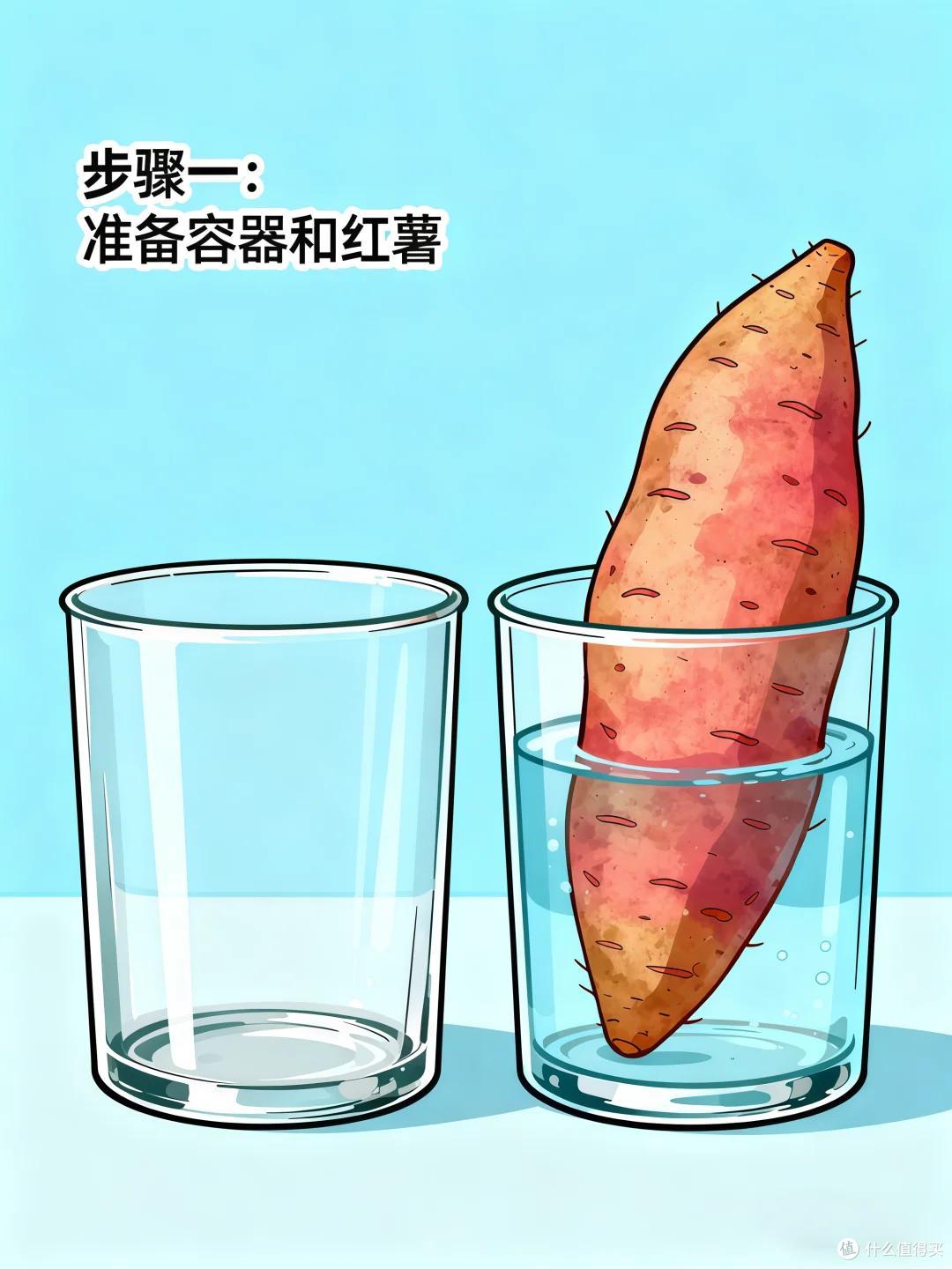 男子晒“红薯变身绿植”:不是花草养不起,而是红薯更有性价比~