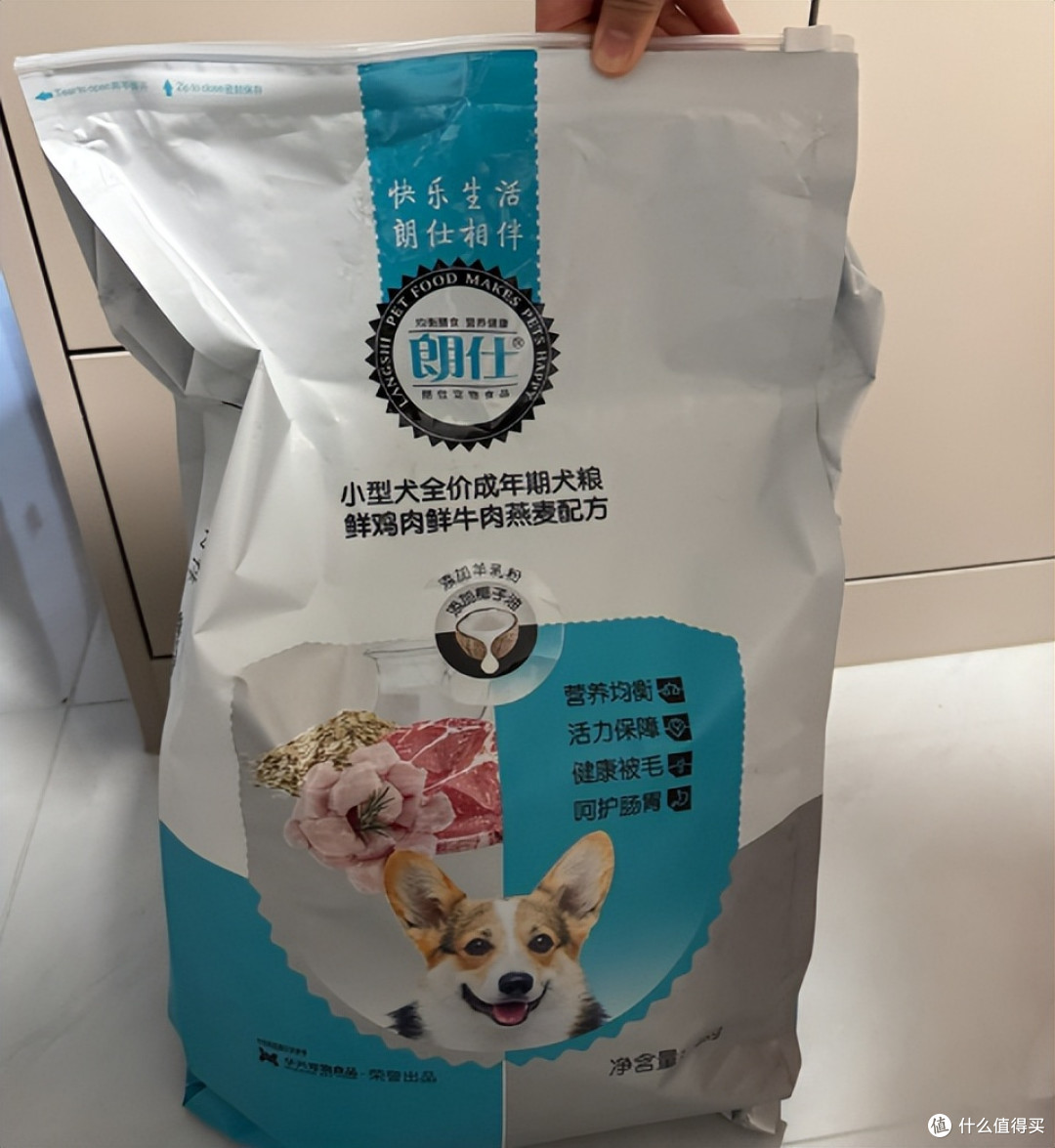 比熊不吃狗粮怎么办?朗仕狗粮怎么样适口性好吗,更好推荐有吗