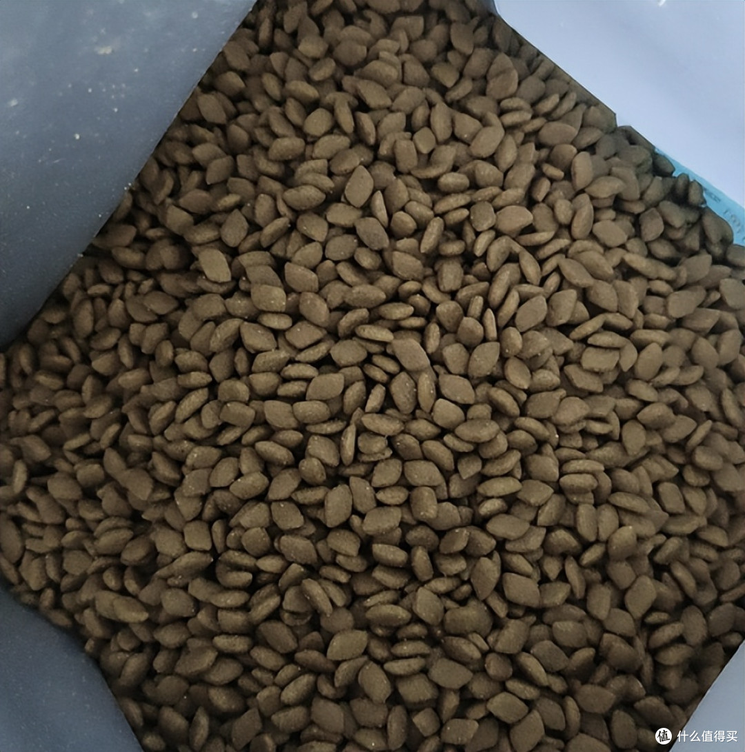 比熊不吃狗粮怎么办?朗仕狗粮怎么样适口性好吗,更好推荐有吗