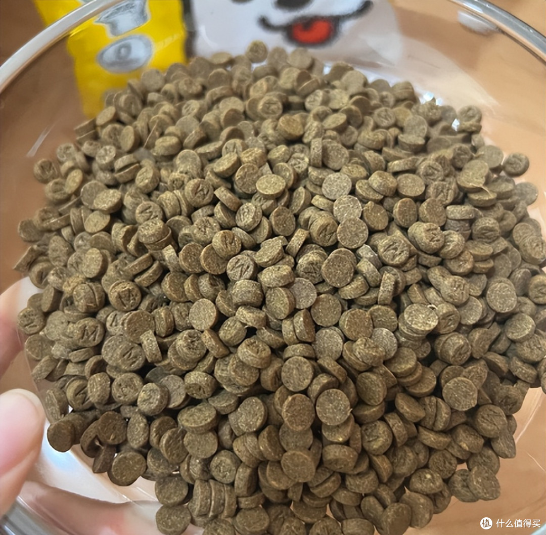 比熊不吃狗粮怎么办?朗仕狗粮怎么样适口性好吗,更好推荐有吗
