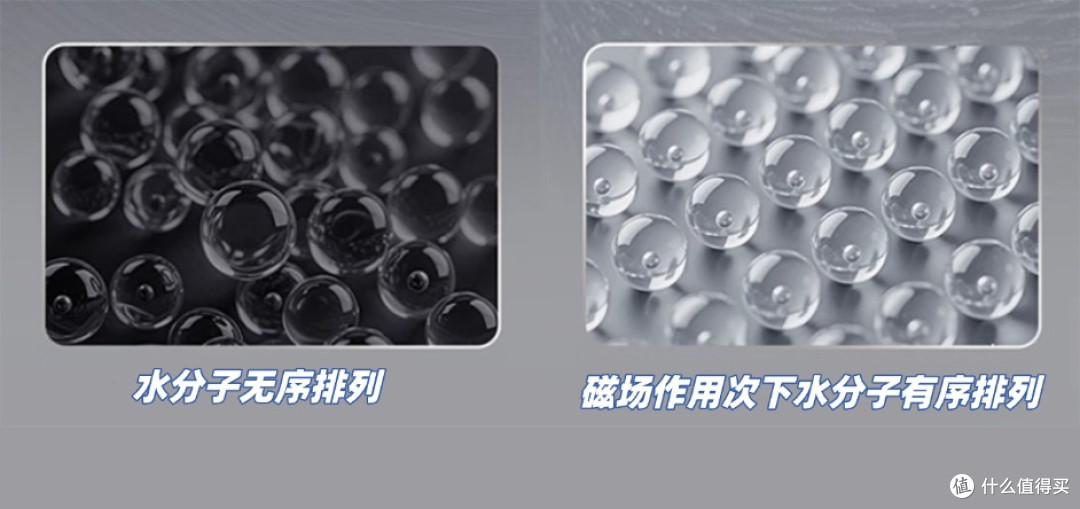 TCL分子磁鲜冰箱真这么强？亲测冰麒麟真的有点东西