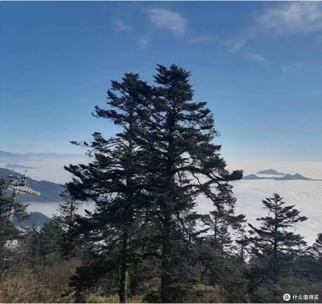 雪季去西岭雪山别踩雷！这份避坑攻略含人均花费