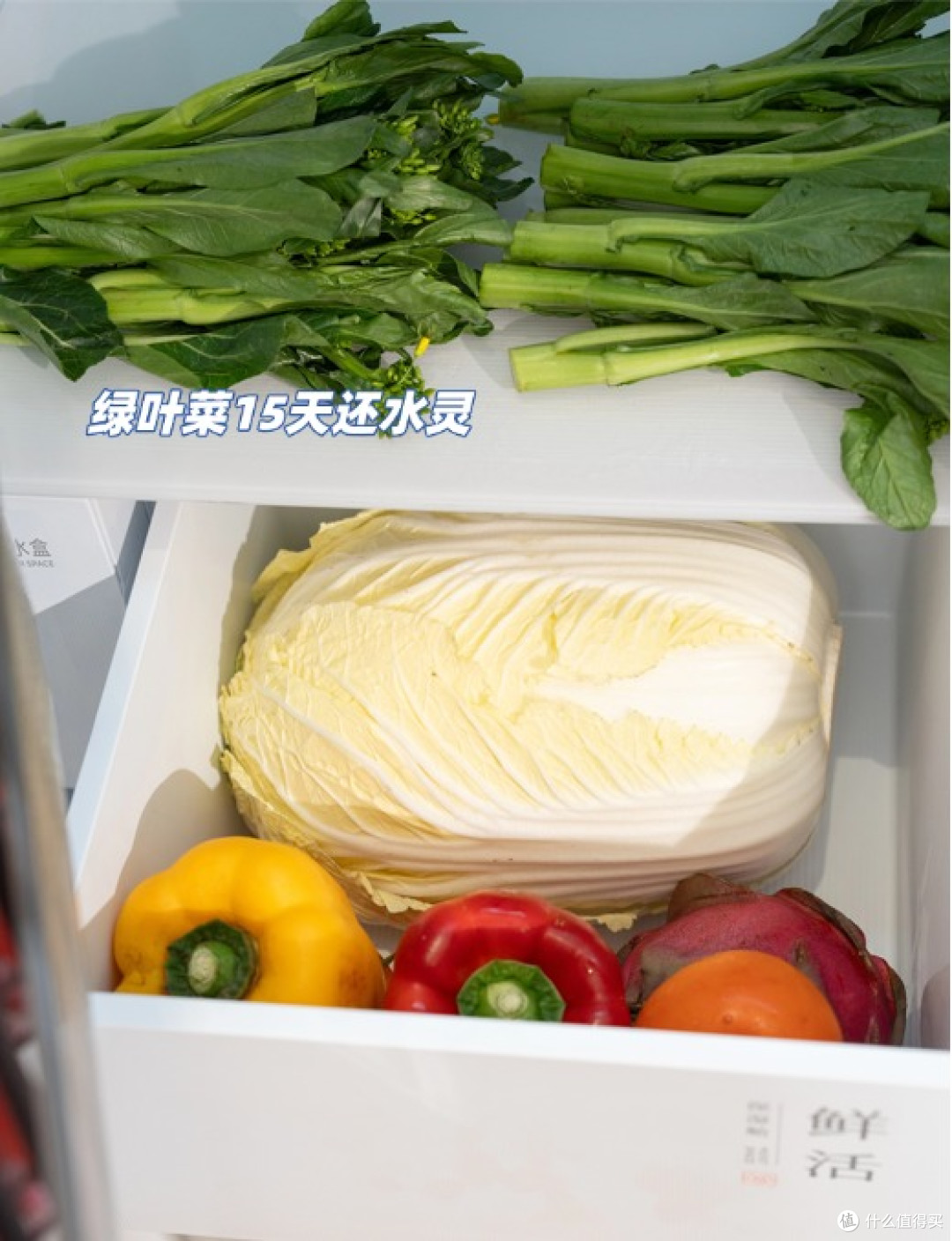TCL分子磁鲜冰箱真这么强？亲测冰麒麟真的有点东西