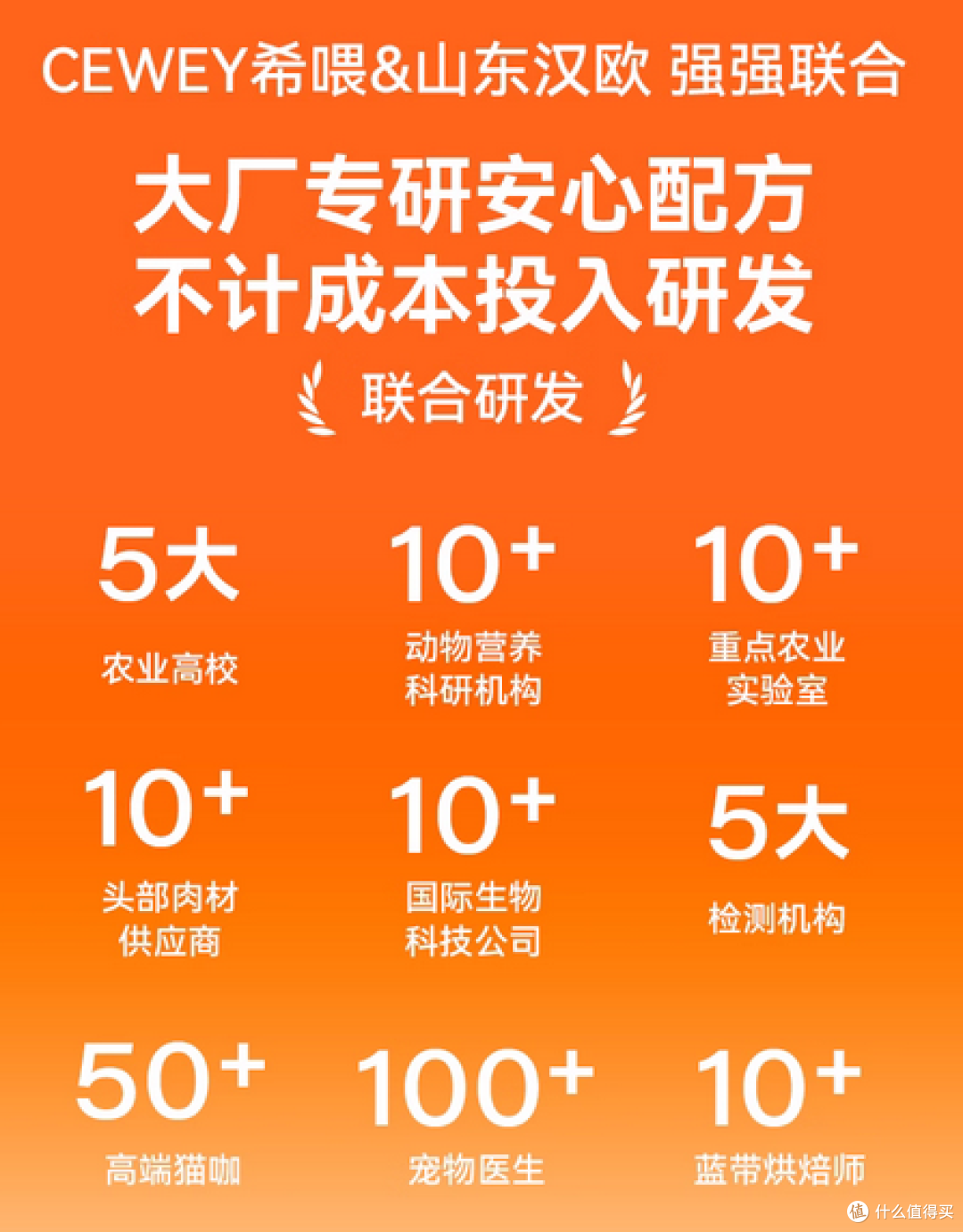 猫咪黑下巴反复不好?可能你该换粮了!