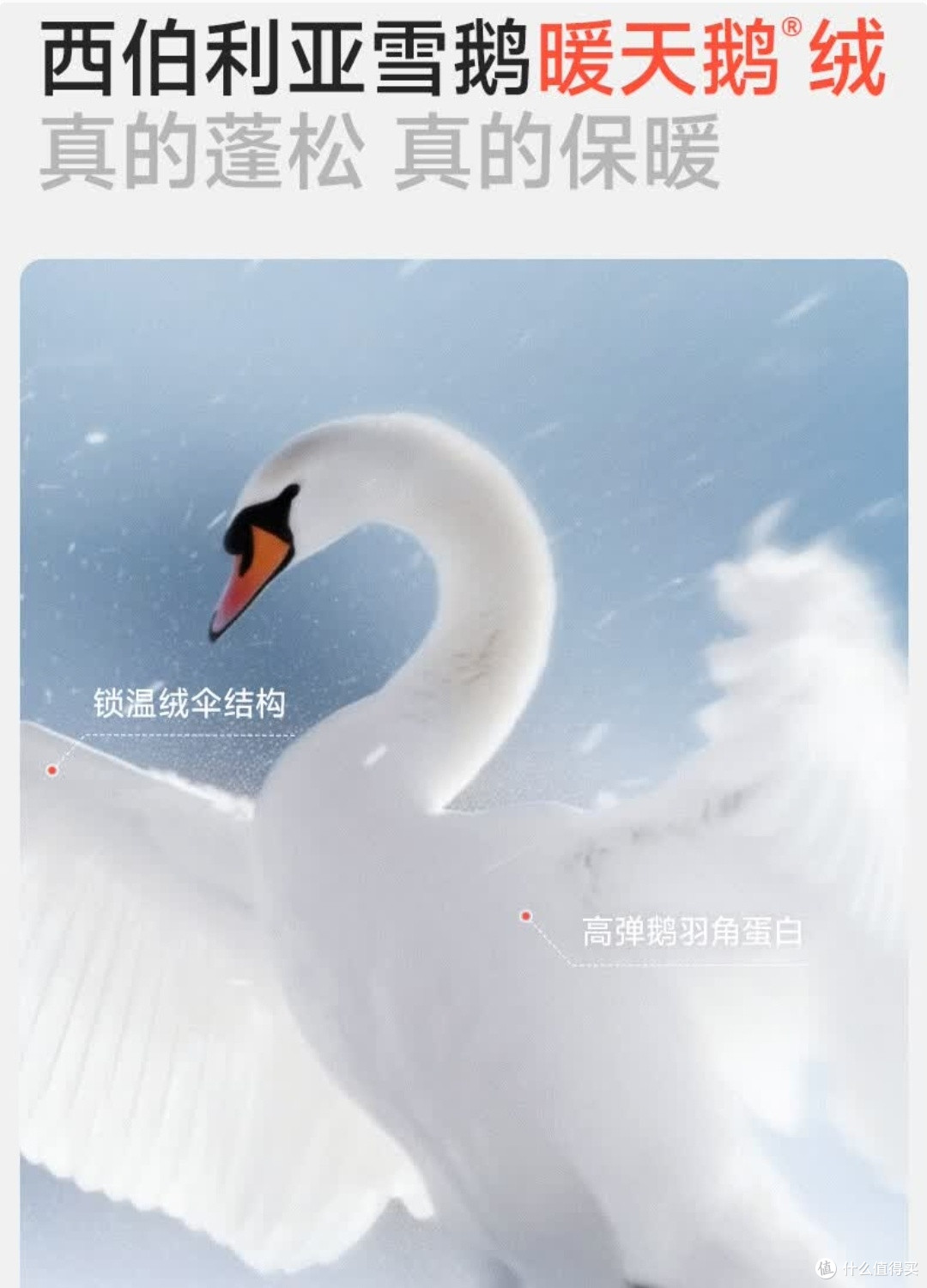 冬日暖潮密码|檀健次同款美力城泡芙羽绒服穿搭笔记