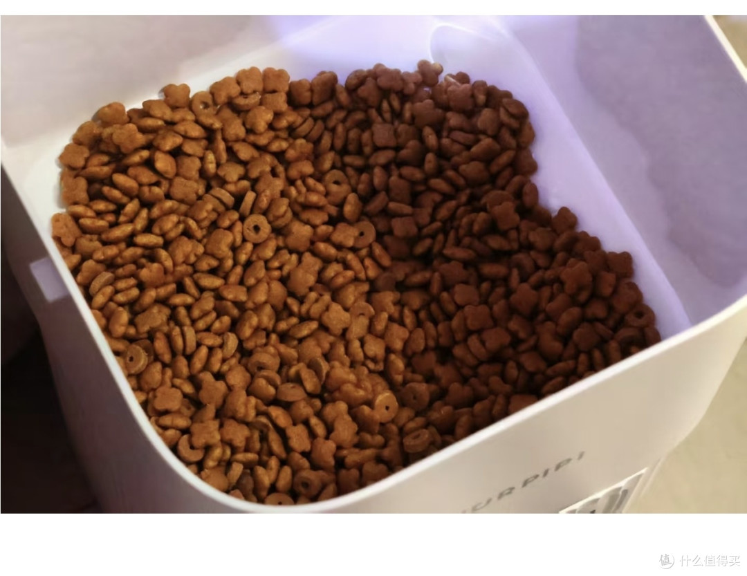 furpipi智能喂食器:养宠神器