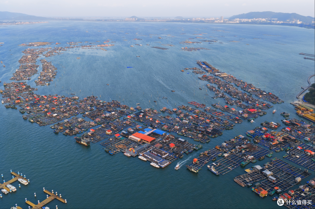 海南正式封关!大攻略立刻安排上