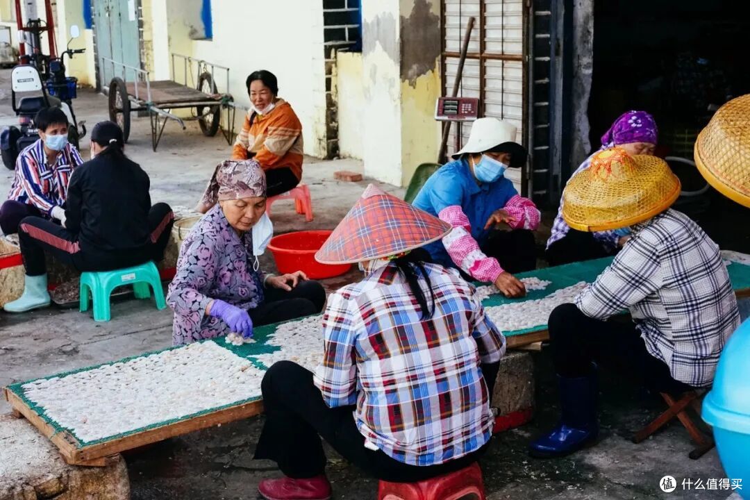 海南正式封关!大攻略立刻安排上