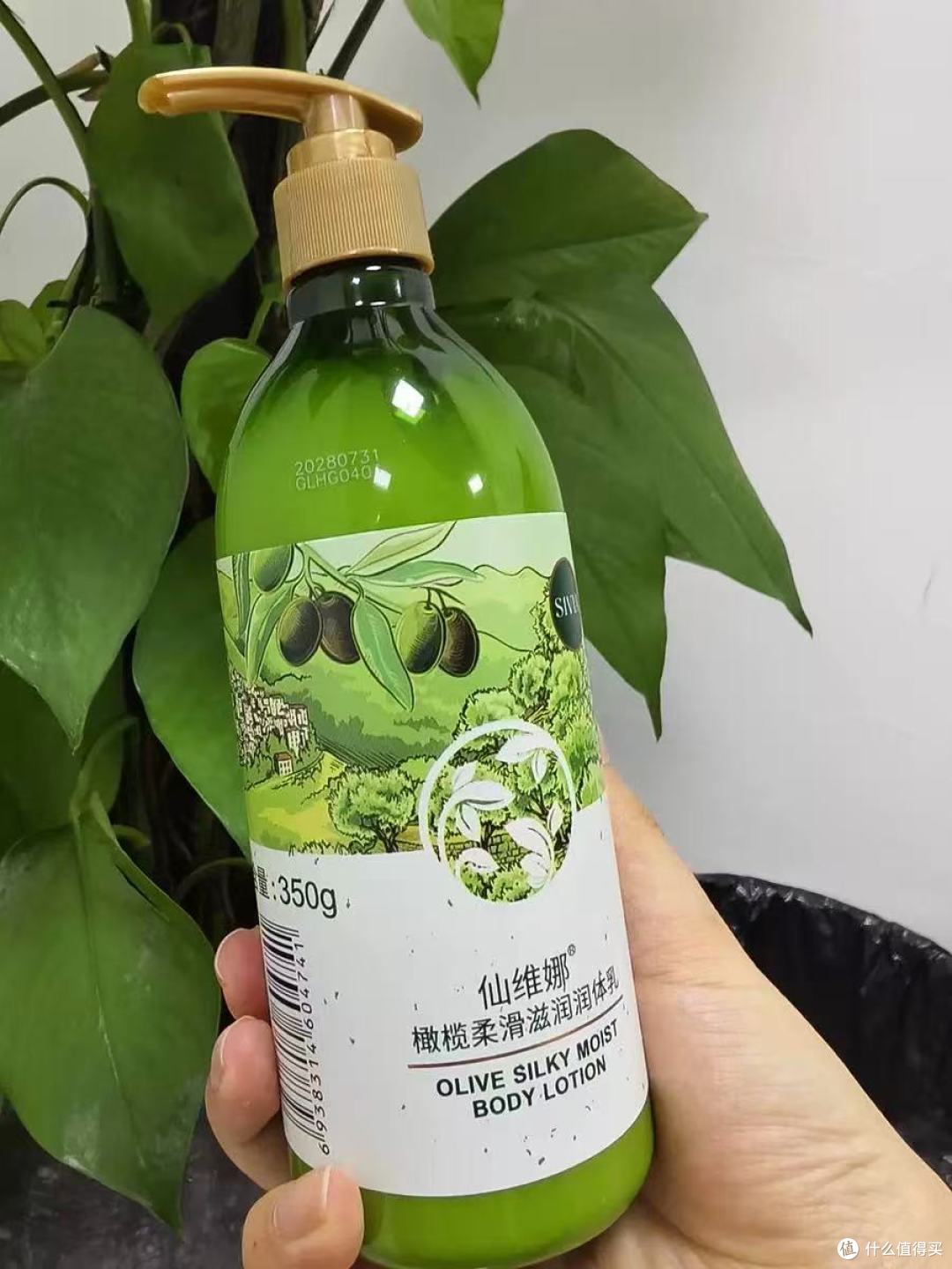 谁懂啊！干皮本命身体乳！仙维娜橄榄款让我嫩到发光✨