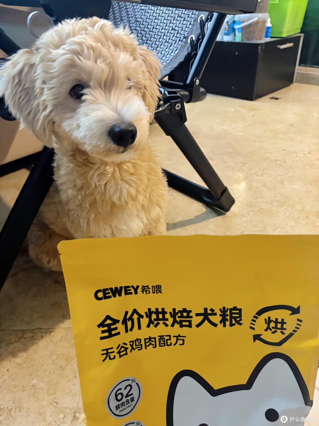 狗粮哪个品牌好?新手养狗必看:狗粮挑选全攻略+高品质狗粮力荐