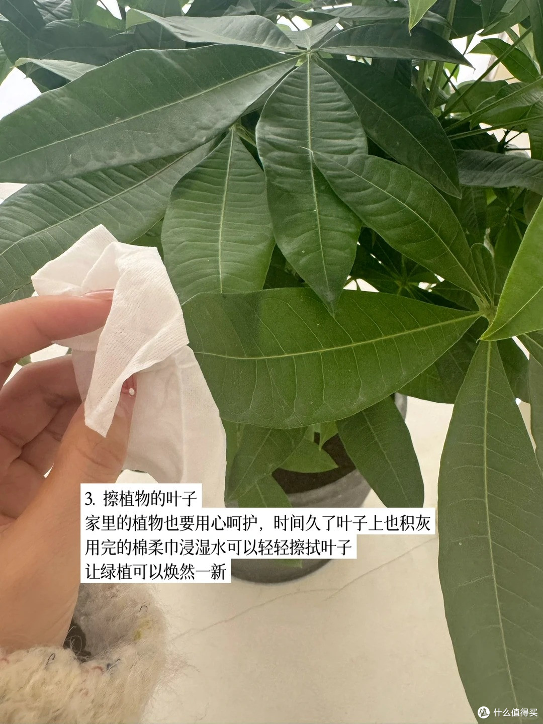 用过的洗脸巾还能干嘛,被这10个二次用法惊到了,一张都不浪费!