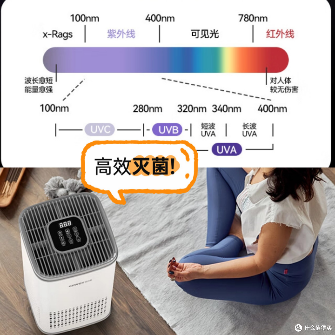 吸猫毛空气净化器哪款好?行业专家支招 3 招避坑,照买准没问题