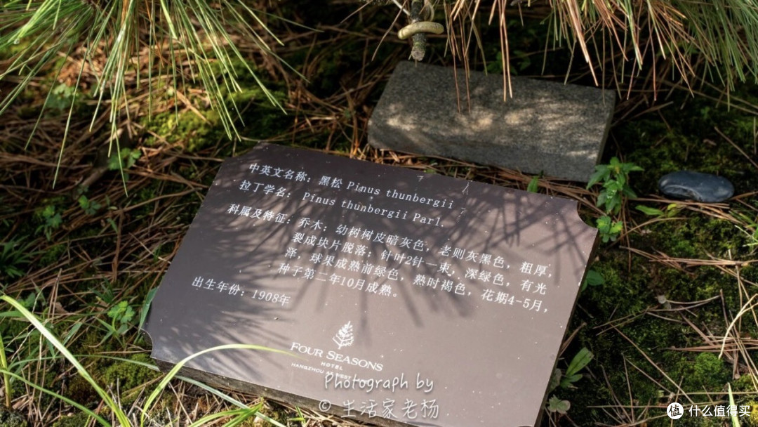 什么样的酒店,对得起奢华二字