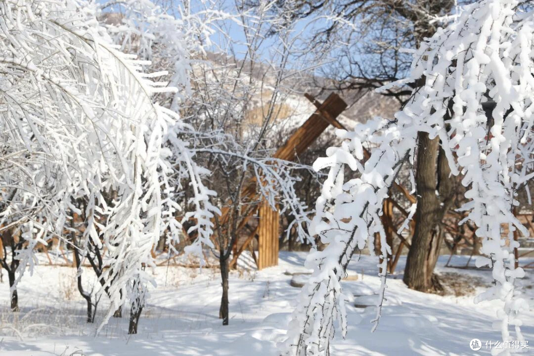 雪场测评官的塞外雪境漫游:乌素图杏花谷攻略+避坑指南