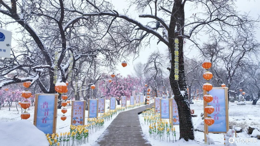 雪场测评官的塞外雪境漫游:乌素图杏花谷攻略+避坑指南