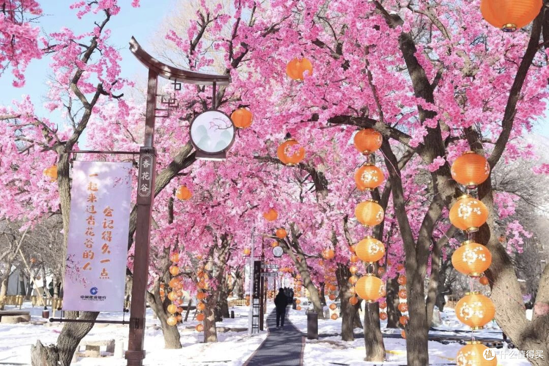 雪场测评官的塞外雪境漫游:乌素图杏花谷攻略+避坑指南