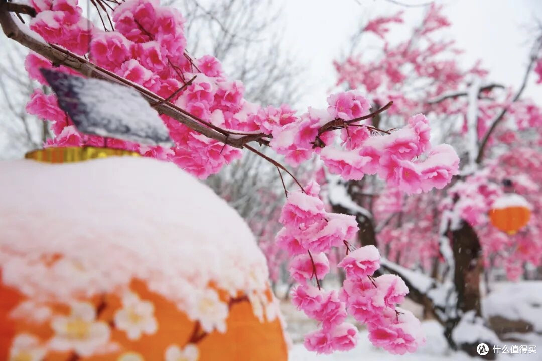 雪场测评官的塞外雪境漫游:乌素图杏花谷攻略+避坑指南