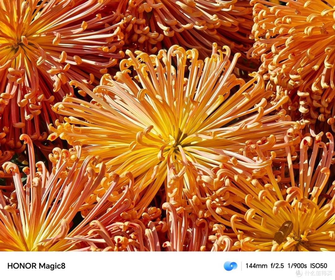 当标准版不再妥协:荣耀Magic8深度体验——旗舰机的「超纲」答卷
