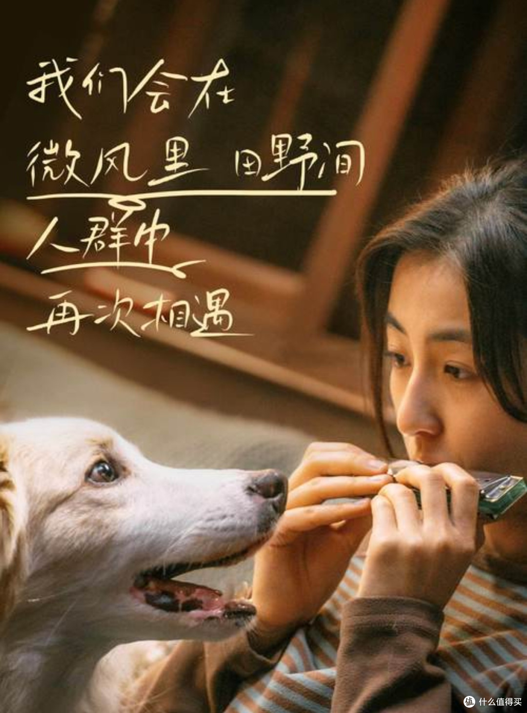 当离别成为必修课,《我会好好的》教会我们如何带着爱前行!