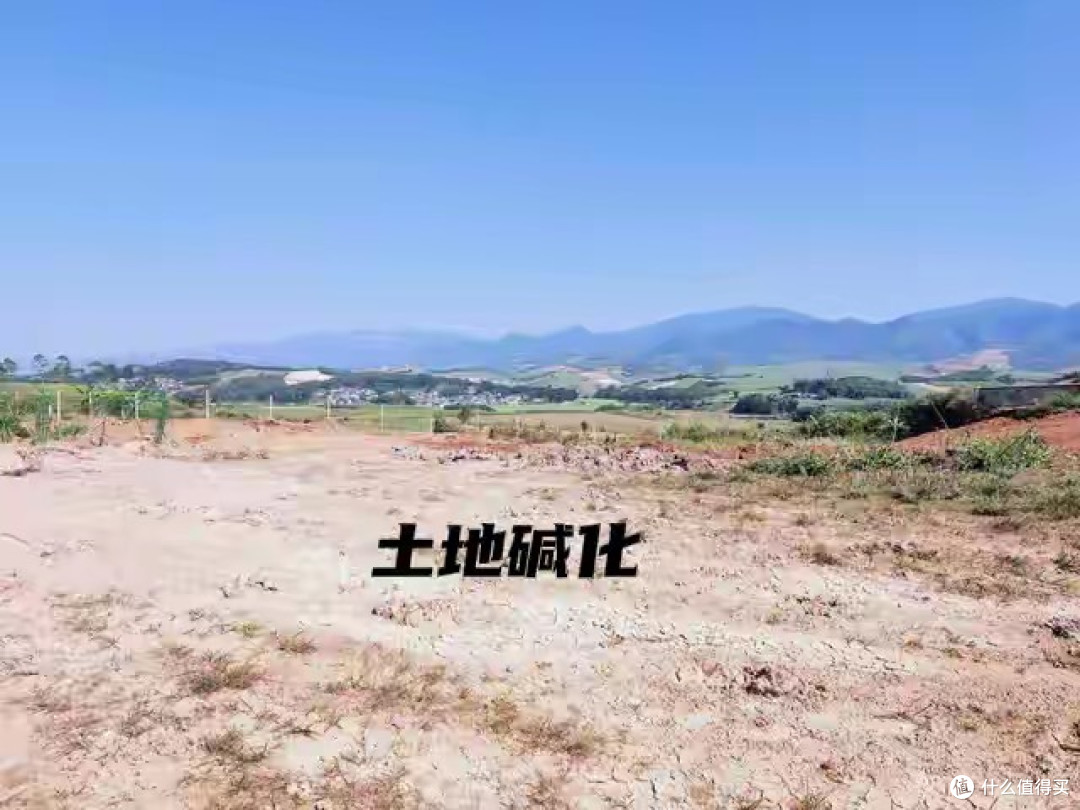 中国祖辈都在用“粪水浇菜”,欧洲科学家却才发现,为什么?