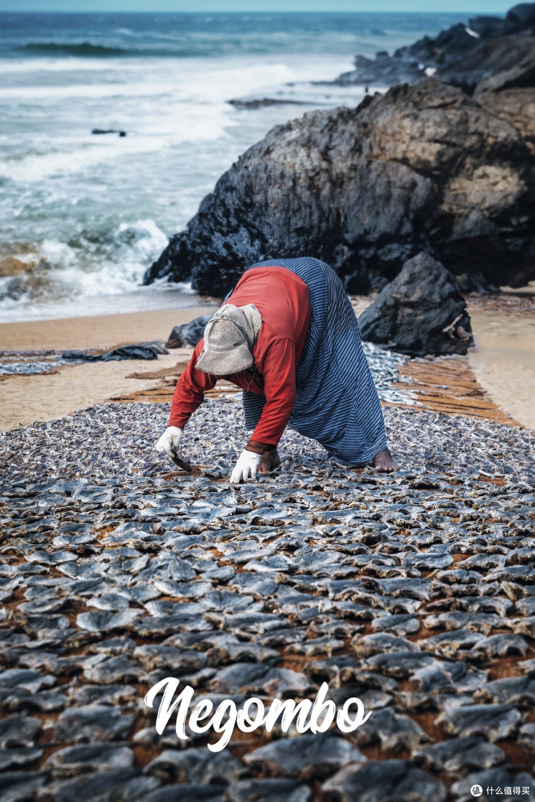 一个人的斯里兰卡自由行---尼甘布Negombo 兰卡交通攻略& 鱼市_国内度假_什么值得买