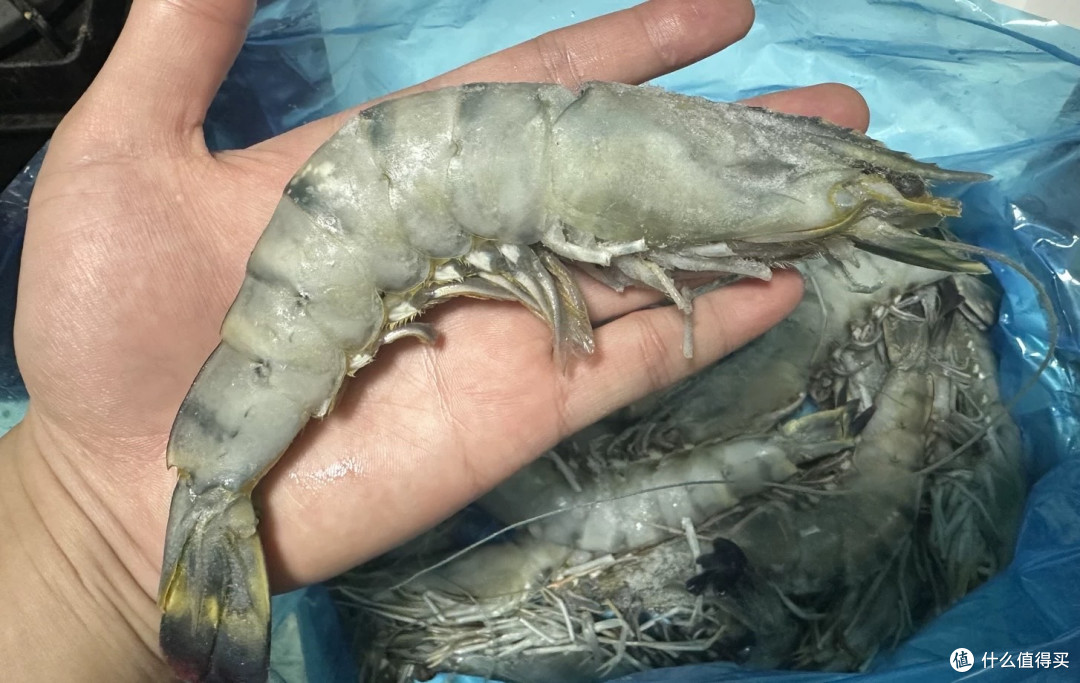 国联超大黑虎虾:火锅食材升级