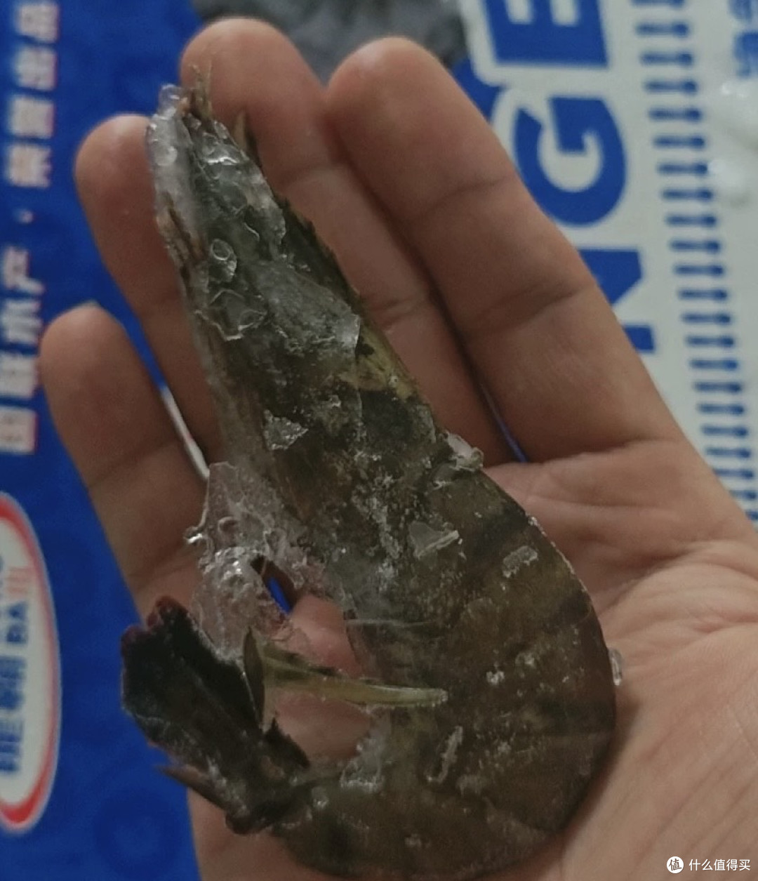 国联超大黑虎虾:火锅食材升级