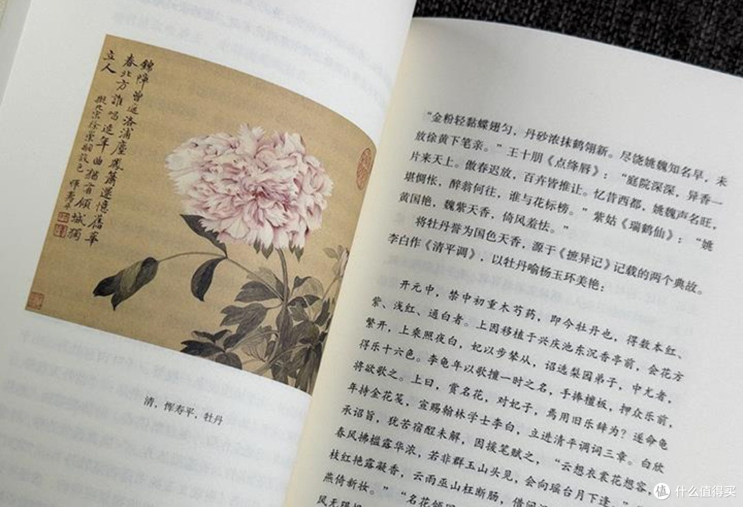 中式生活美学的时令之韵：在花香与节气中邂逅传统