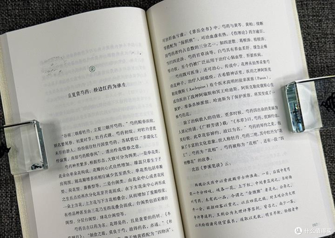 中式生活美学的时令之韵：在花香与节气中邂逅传统