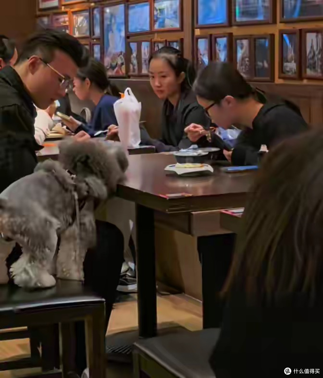 郑州面馆狗上桌后续:邻座无奈,爆料者被投诉,面馆回应不被认可