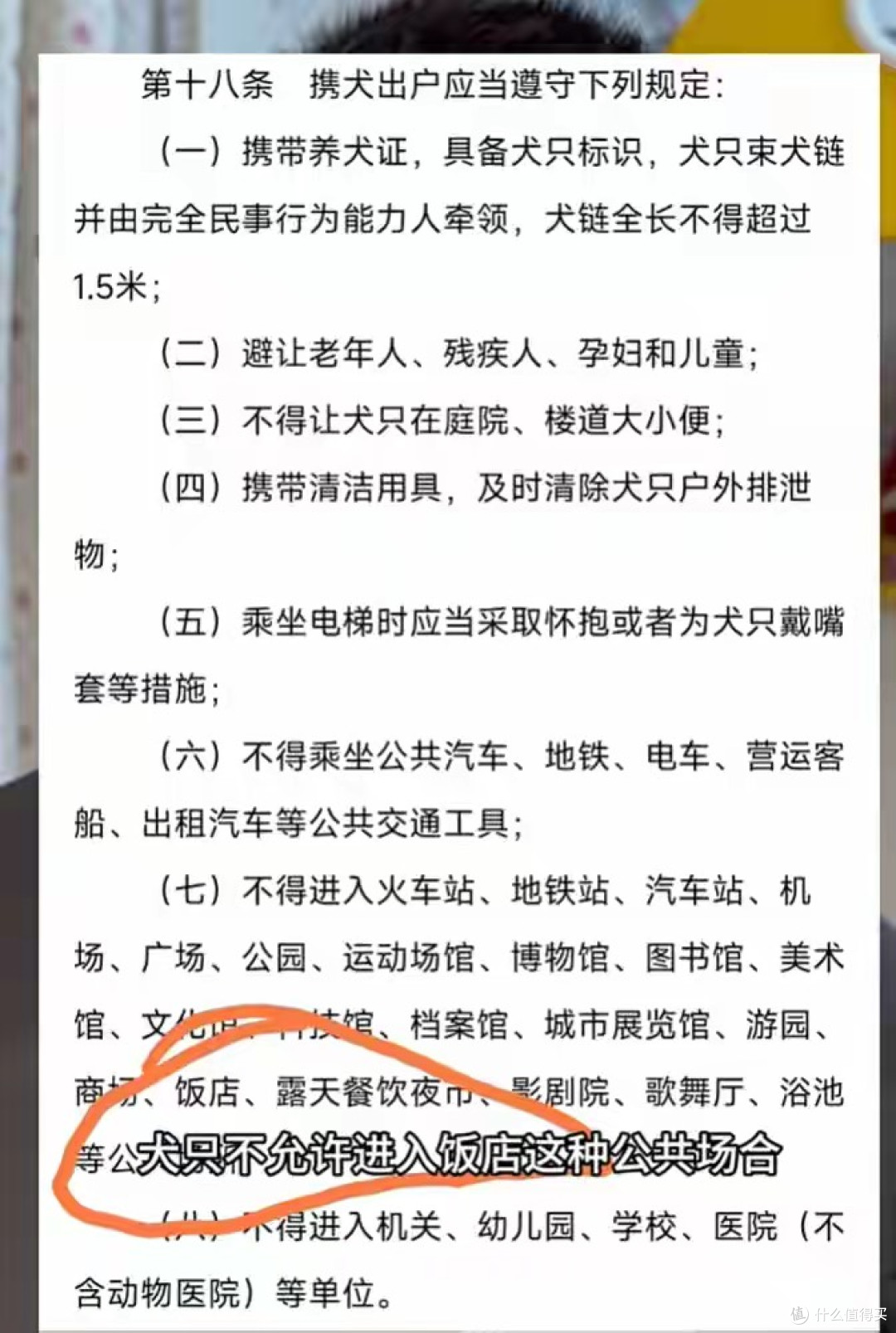 郑州面馆狗上桌后续:邻座无奈,爆料者被投诉,面馆回应不被认可
