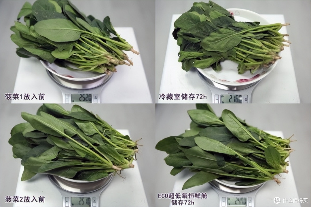 告别单纯保鲜 追觅极境冰箱打造新一代“家庭营养健康中心”