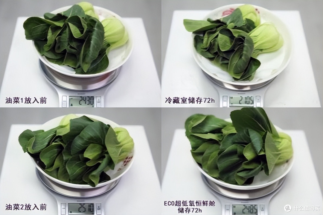 告别单纯保鲜 追觅极境冰箱打造新一代“家庭营养健康中心”