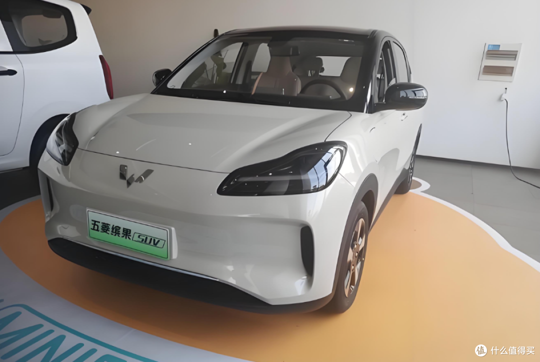 2026电动车购置税要多交1万+,车企兜底靠谱吗?今年买还是等?